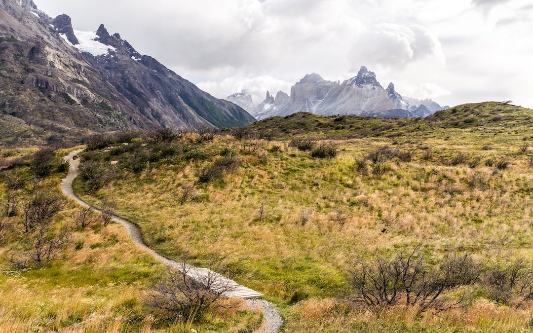 road surrounded by grass near mountains