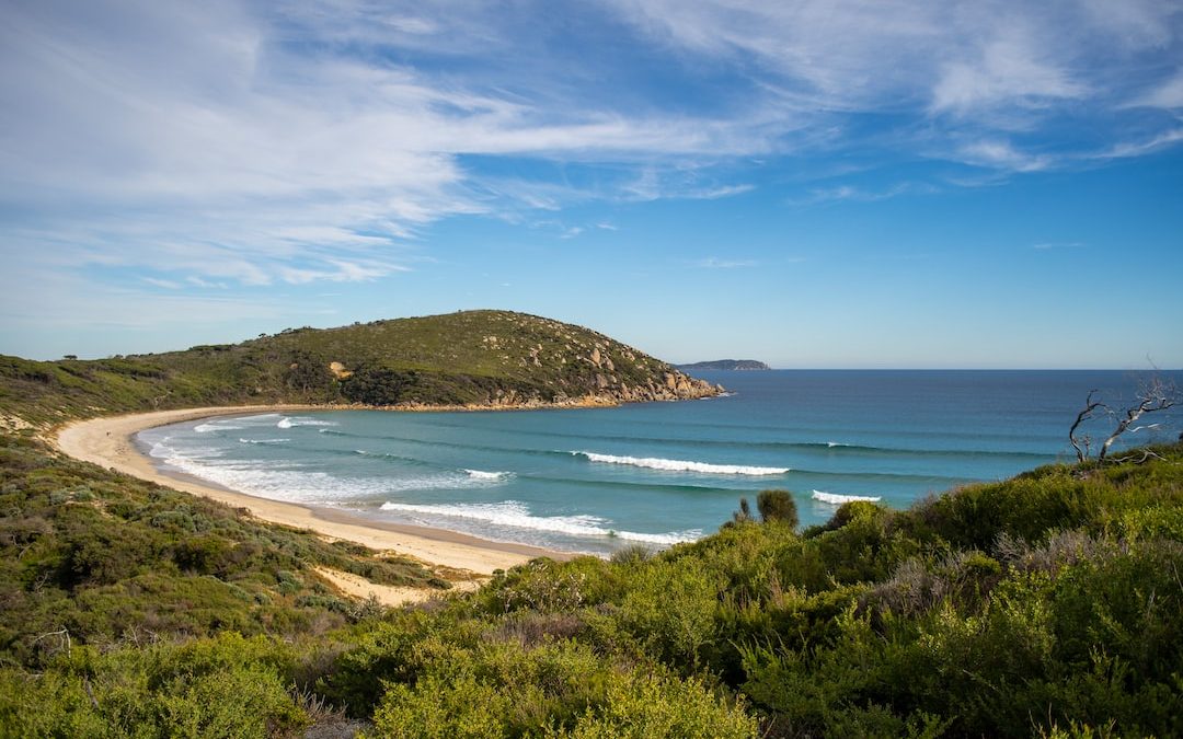 grass and sand seashore during day