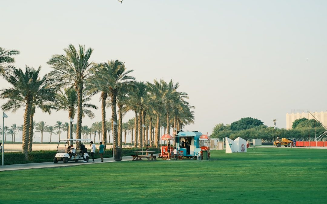 a park with palm trees