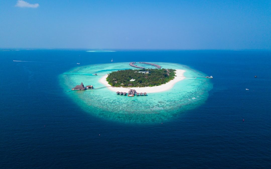 island surrounded with water with trees