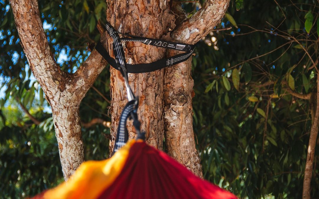 a red and yellow umbrella hanging from a tree