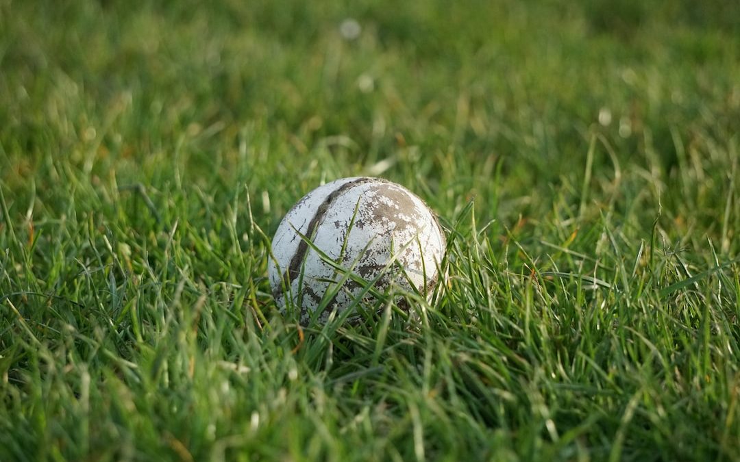 a white ball sitting in the middle of a green field