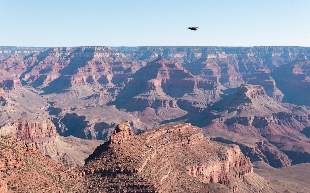 a plane flying over a canyon