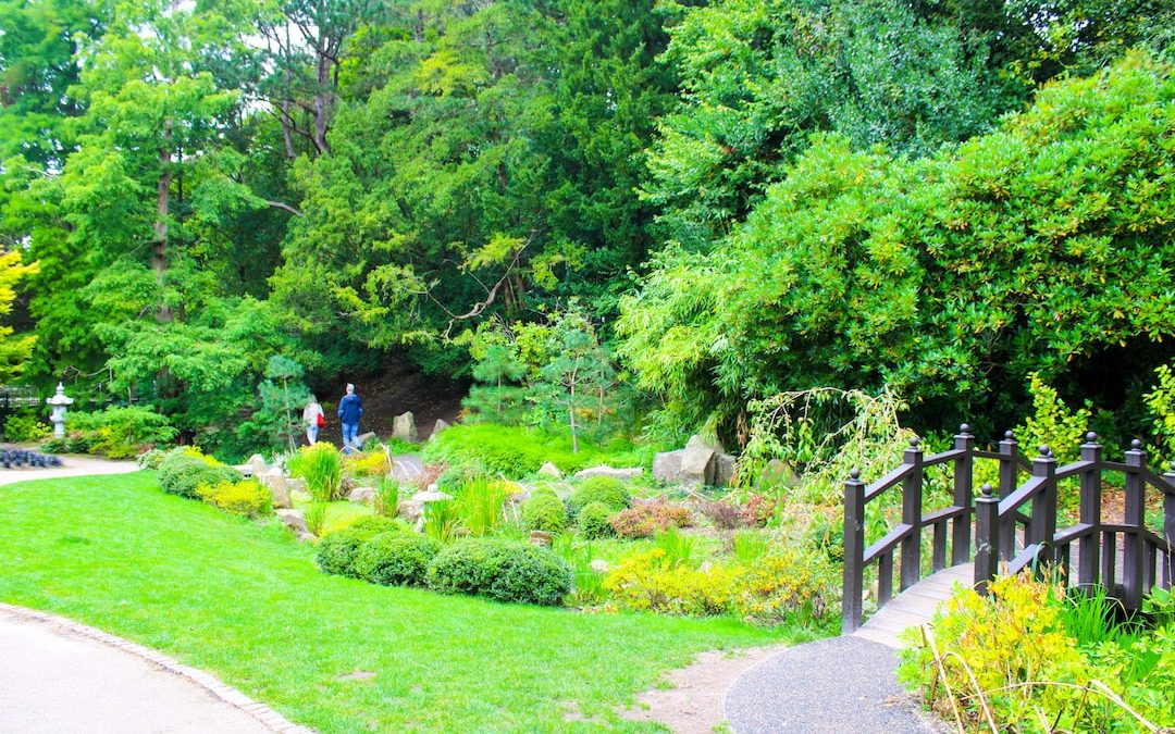 a couple of people walking across a lush green park