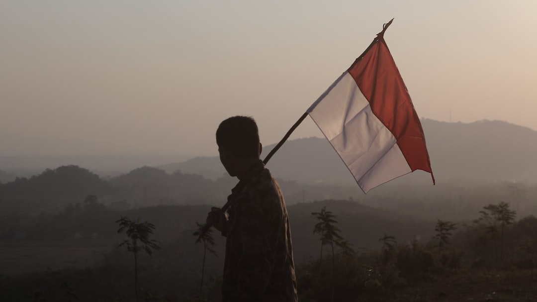 silhouette of man holding flag during daytime