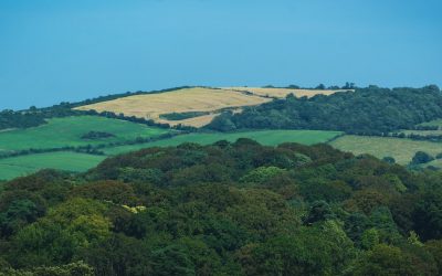 Unique Accommodations for an Unforgettable Stay in Ireland