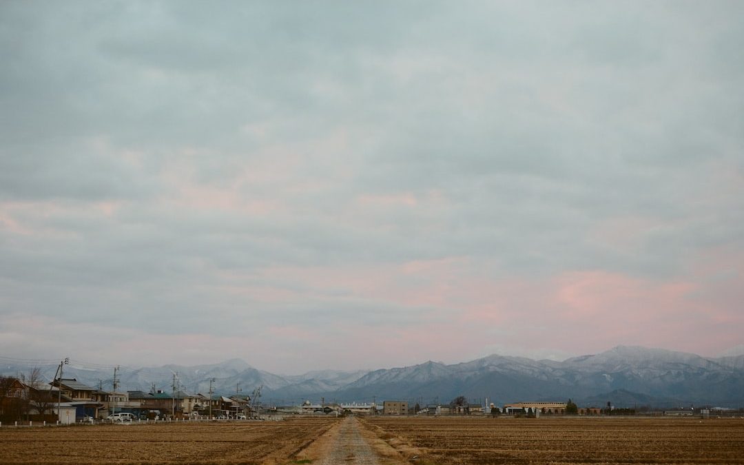 brown field under white sky during daytime