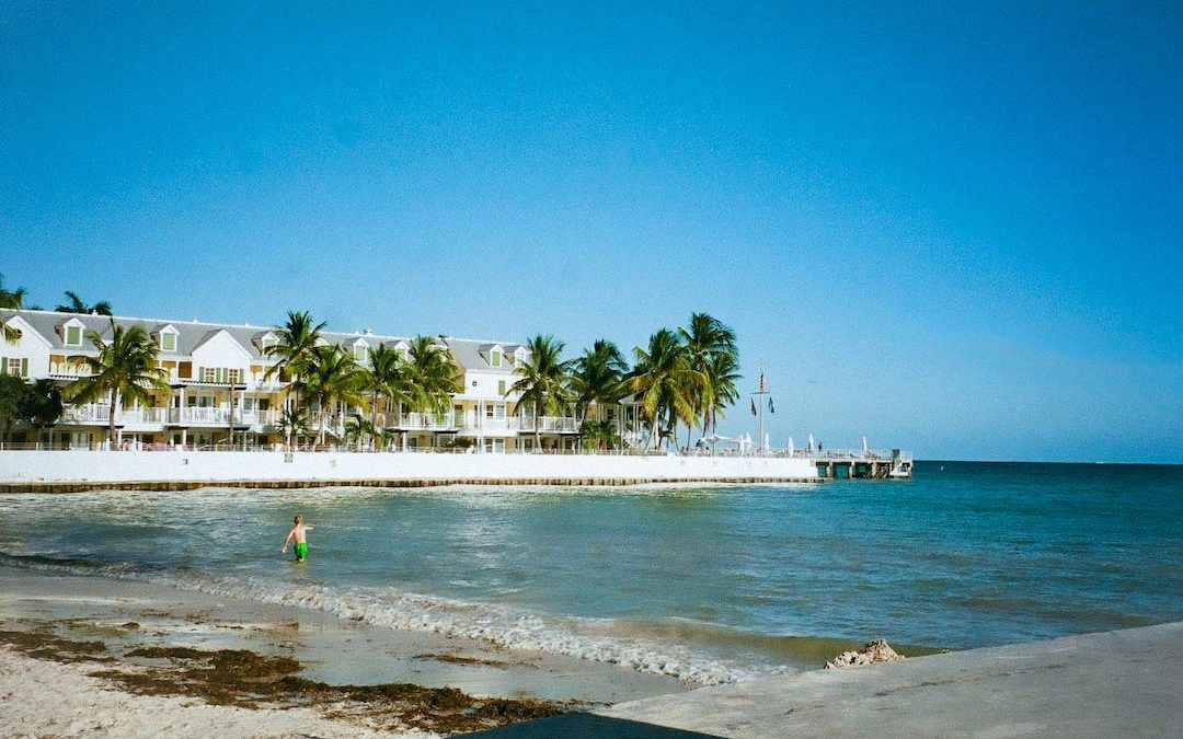 people on beach during daytime