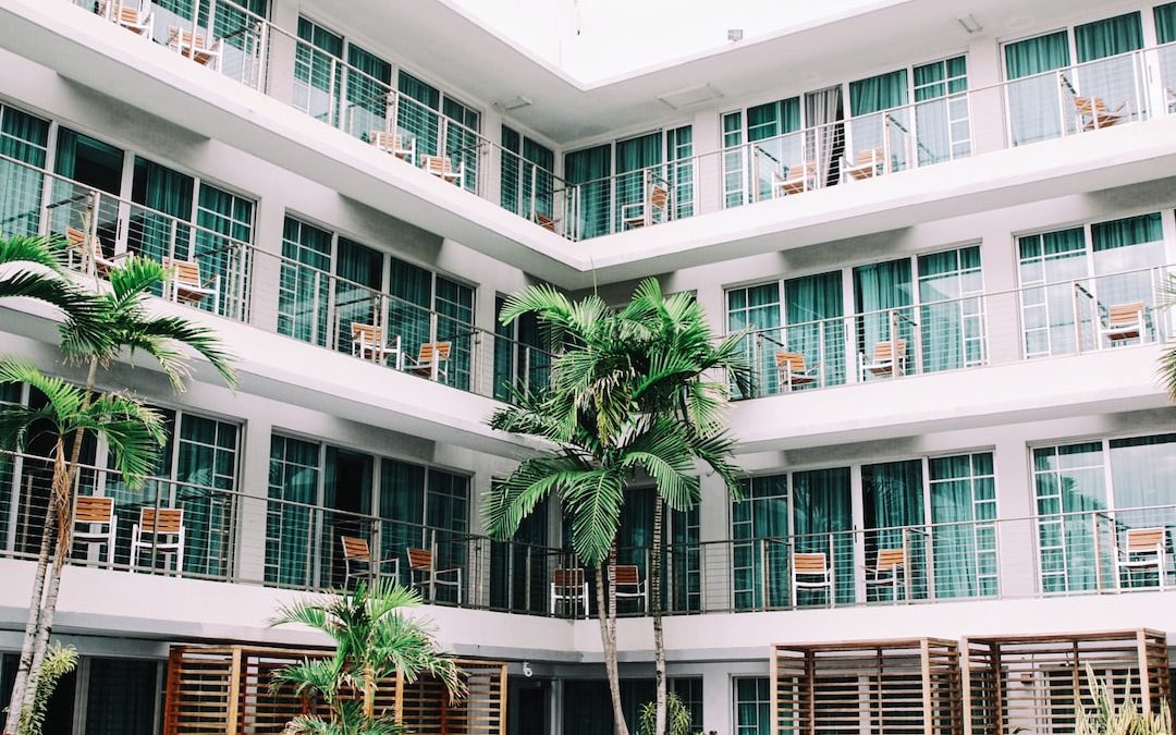 coconut palm trees in hotel lobby