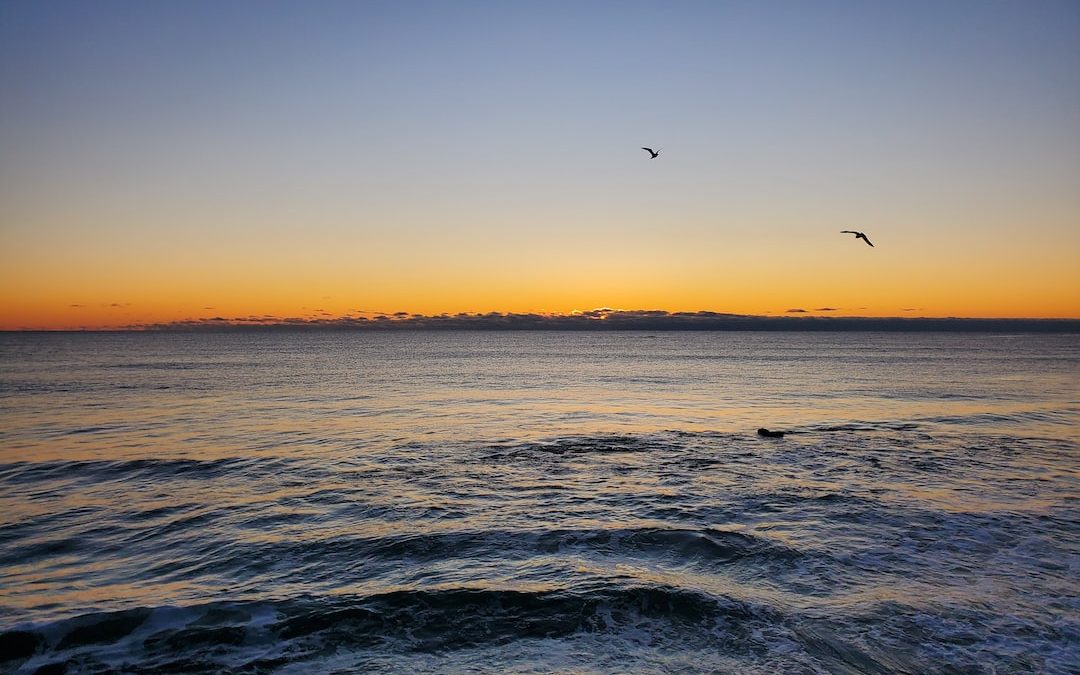 a couple of birds flying over a body of water