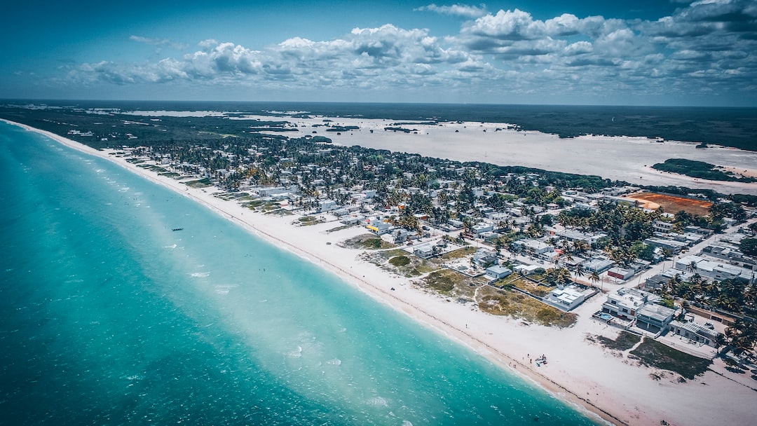 aerial view photo of white sand beach shoreline