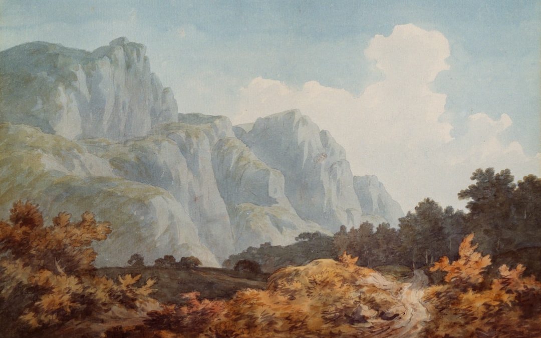 brown and grey trees and rock formation painting