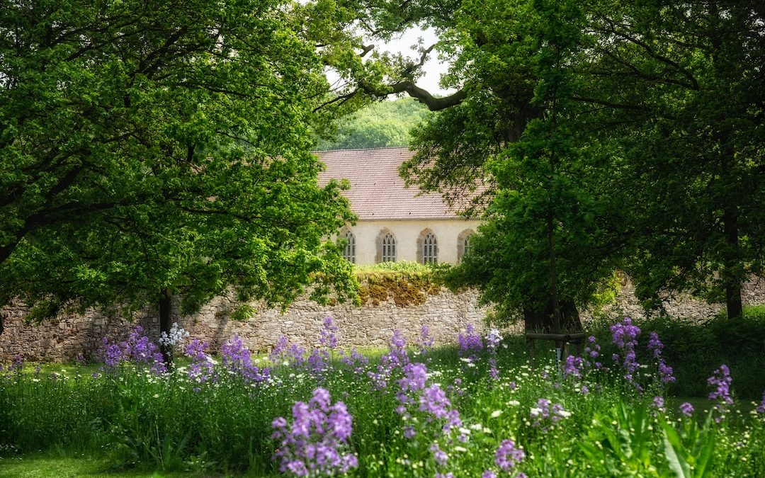 purple flowers near green trees and brown concrete building during daytime