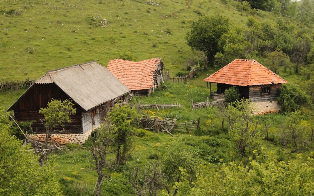 a couple of wooden buildings in a grassy field