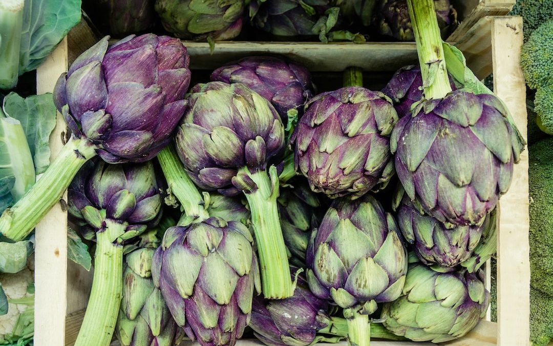 close-up photography of green and purple vegetables