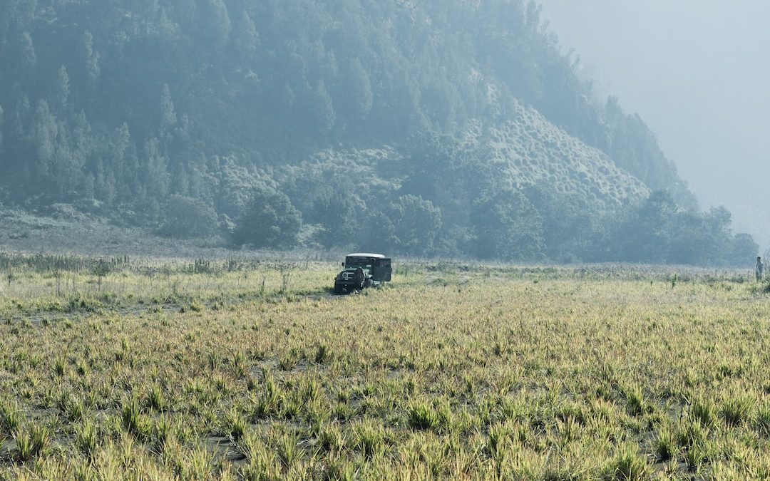 a truck is parked in the middle of a field