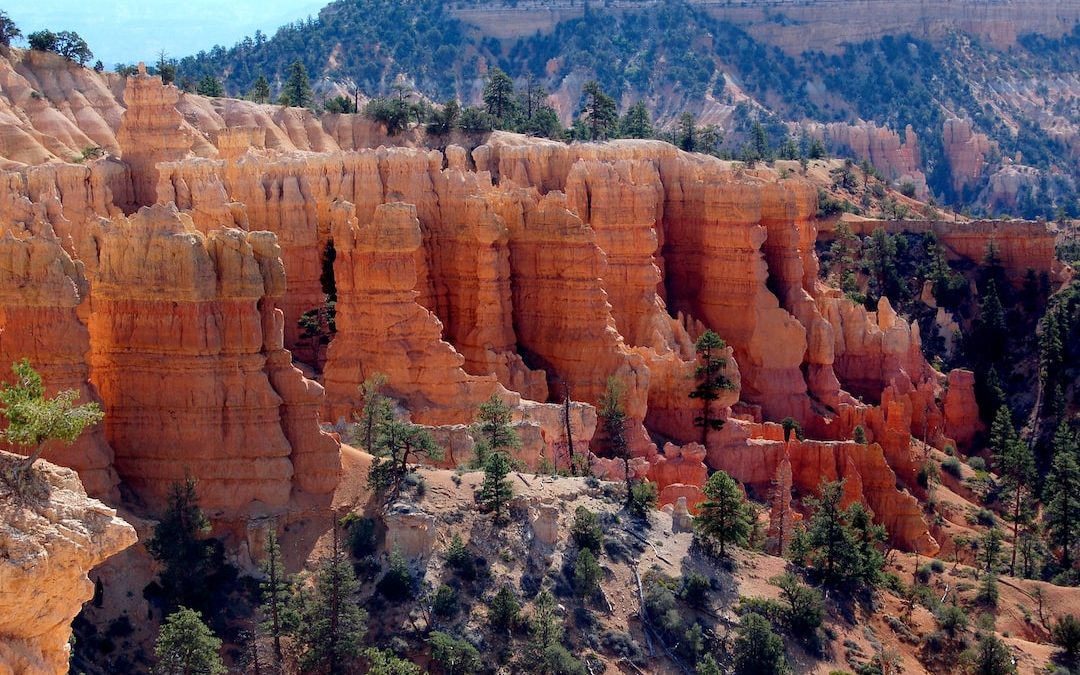 rock formations near green leafed trees