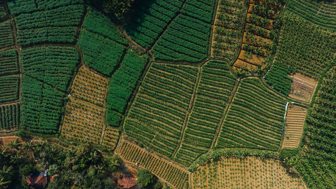 a bird's eye view of a tea plantation