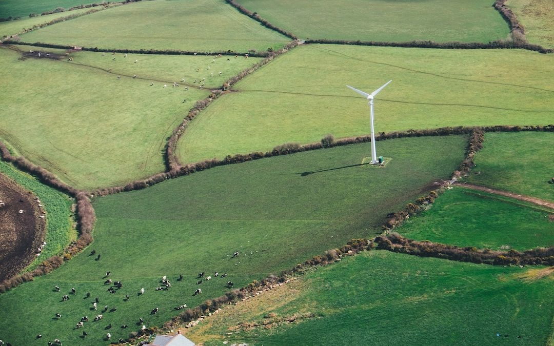 birds eye view of wine mill on grass field