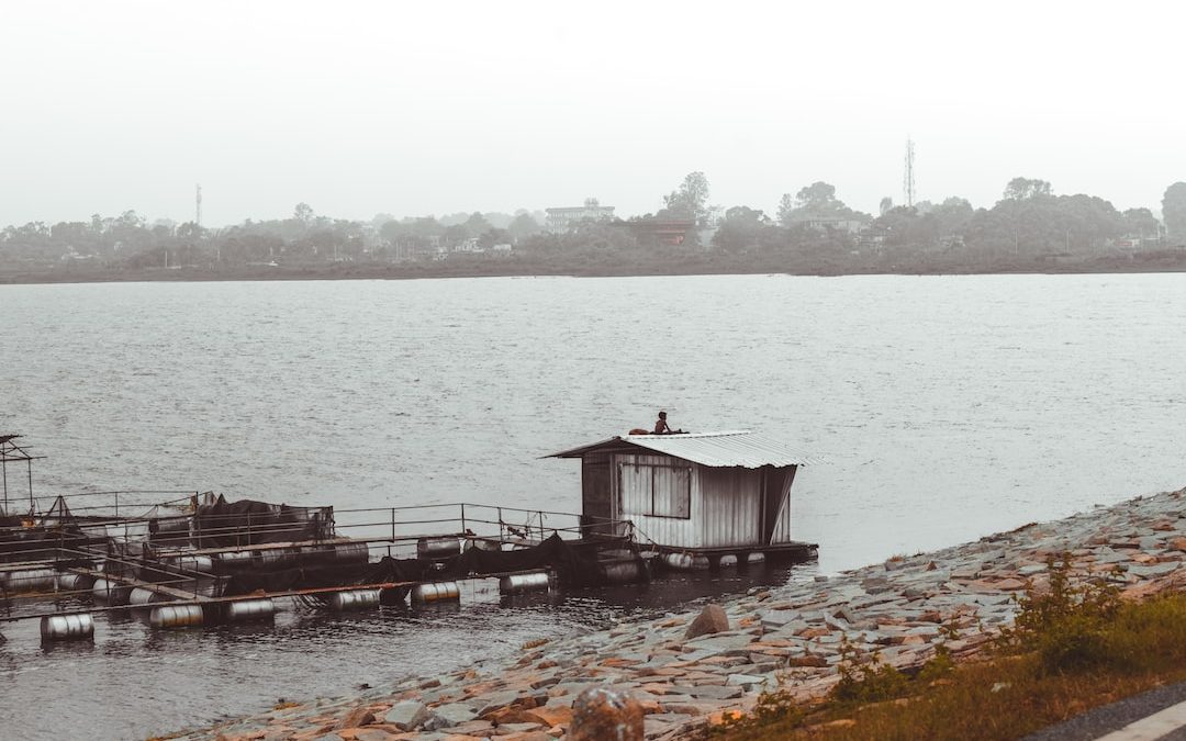 brown wooden dock on body of water during daytime