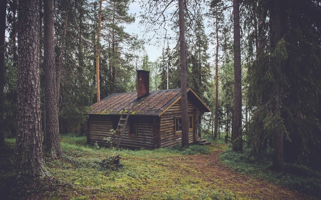 photo of brown wooden cabin in forest during daytime