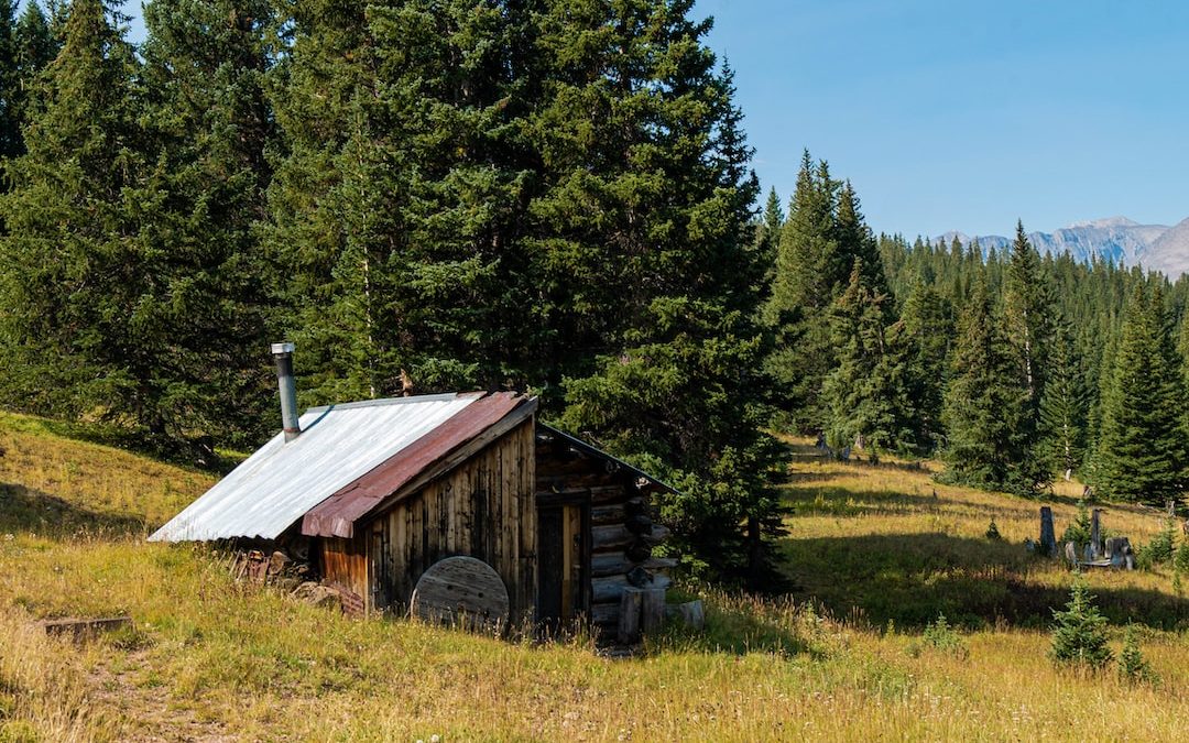 a small cabin in the middle of a forest