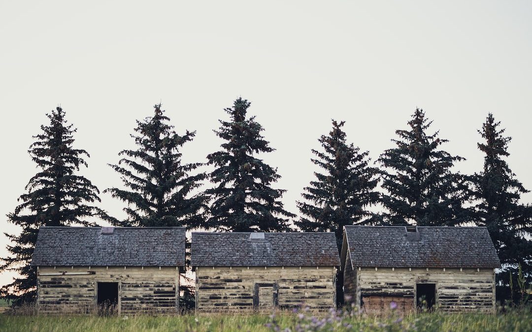 landscape photo of houses in front of pine trees during daytime