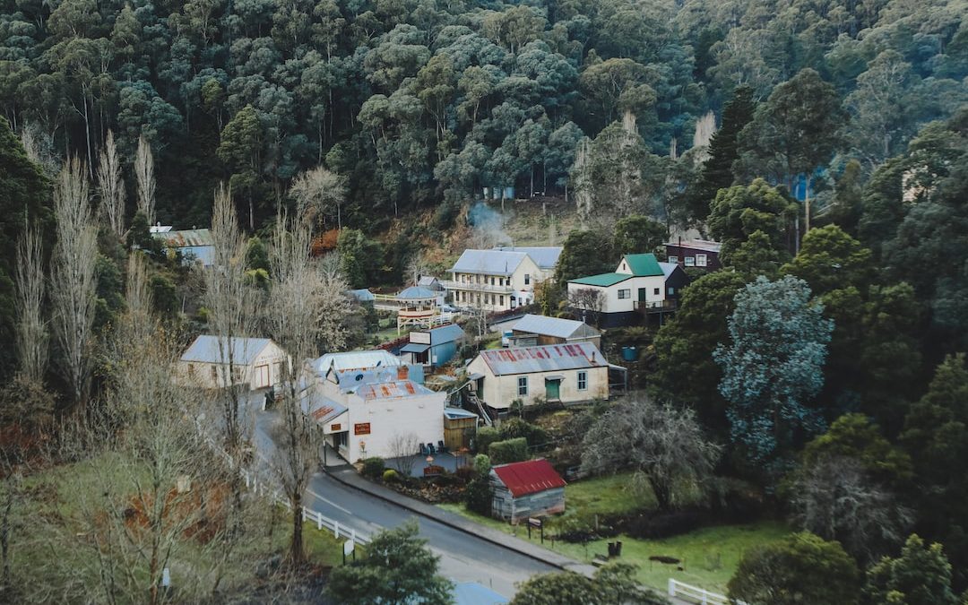 aerial photography of village