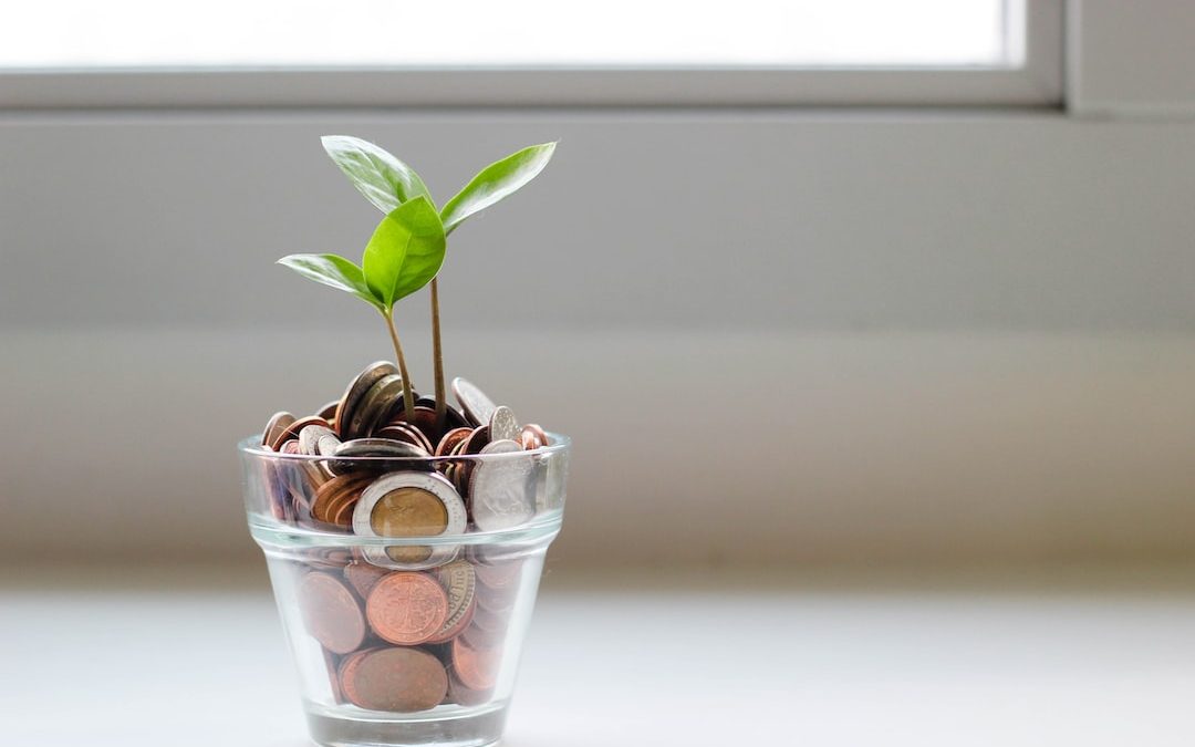 green plant in clear glass cup