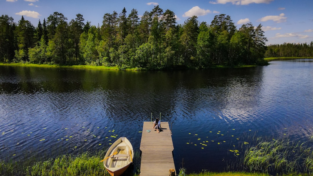 brown wooden dock on lake surrounded by green trees during daytime