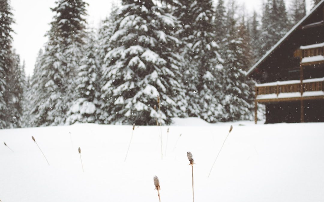 Experience a Glacier National Park Winter Stay