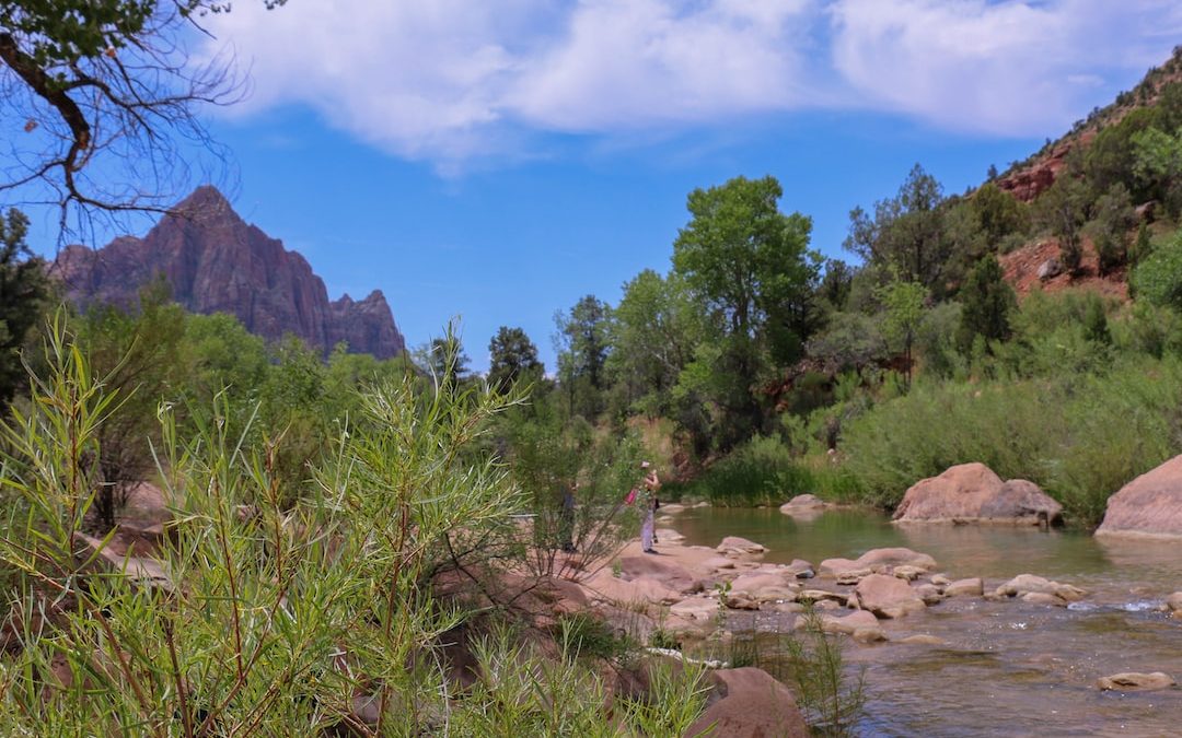 All The Must-Try Restaurants In Zion National Park