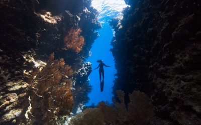 Snorkeling in St Maarten