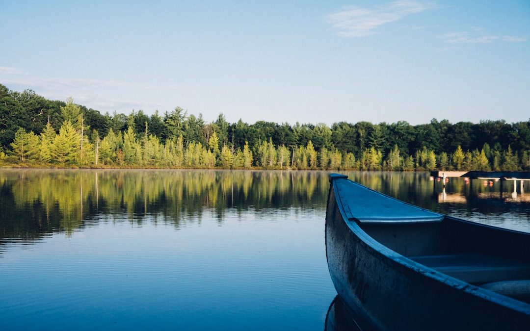 grey canoe on calm body of water near tall trees at daytime