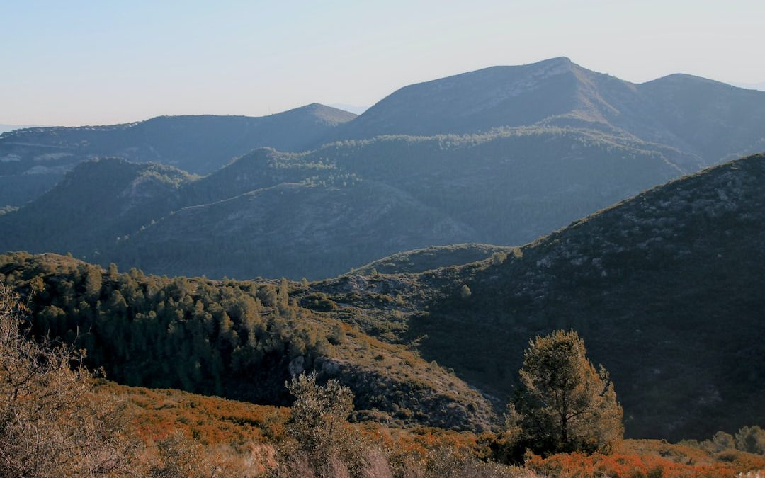 a view of a mountain range with trees in the foreground