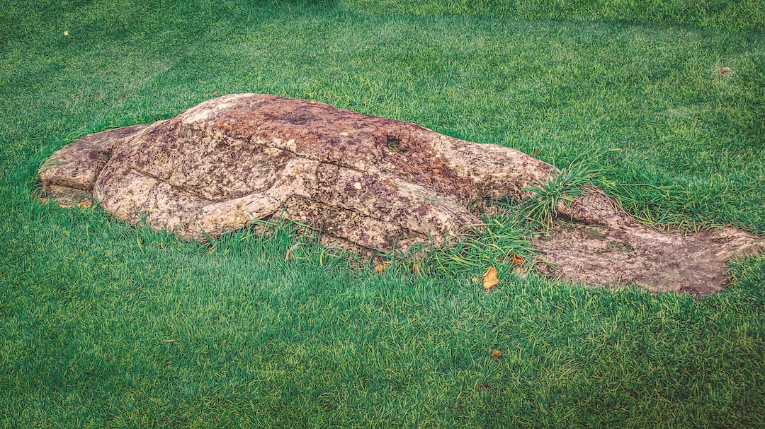 a large rock laying on top of a lush green field