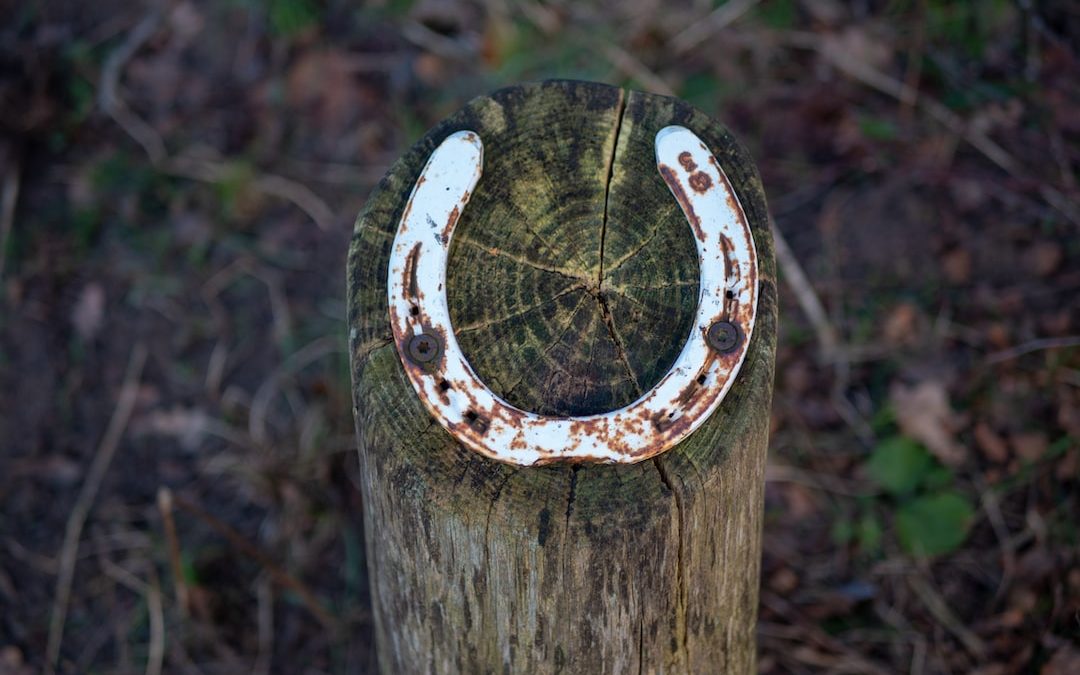 white horseshoe on wood log
