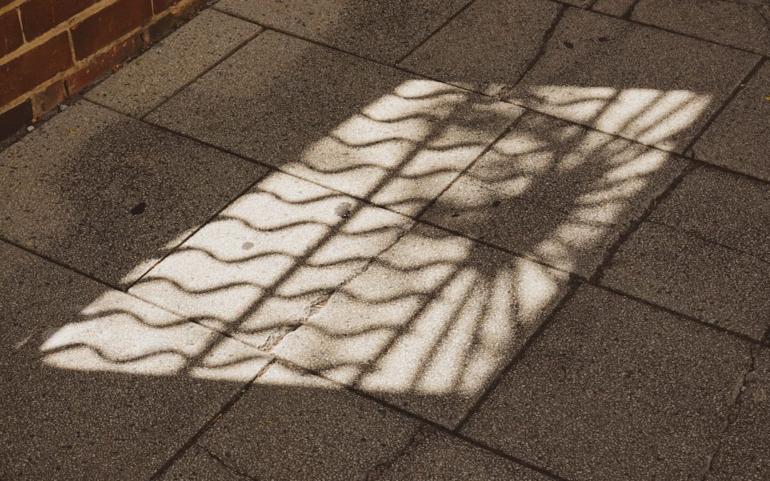 a shadow of a tree on a sidewalk