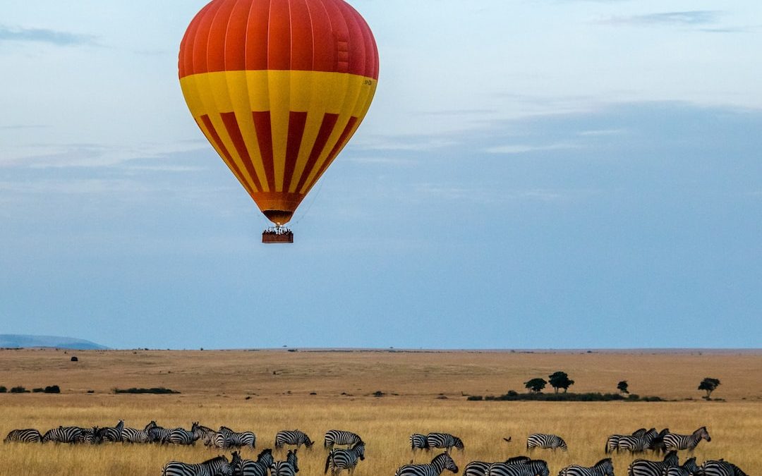 red and yellow hot air balloon over field with zebras