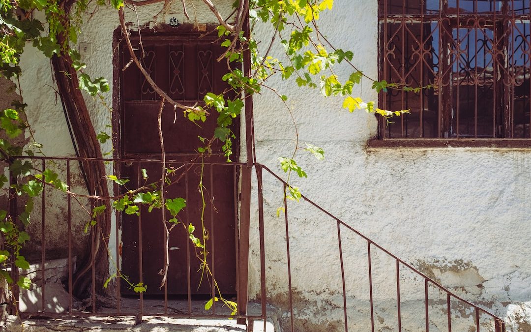 a door in a stone wall