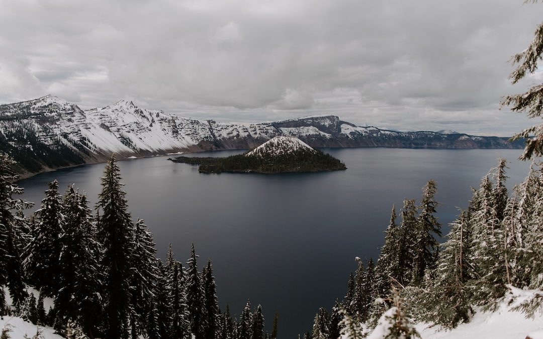 trees on snow covered mountain near body of water