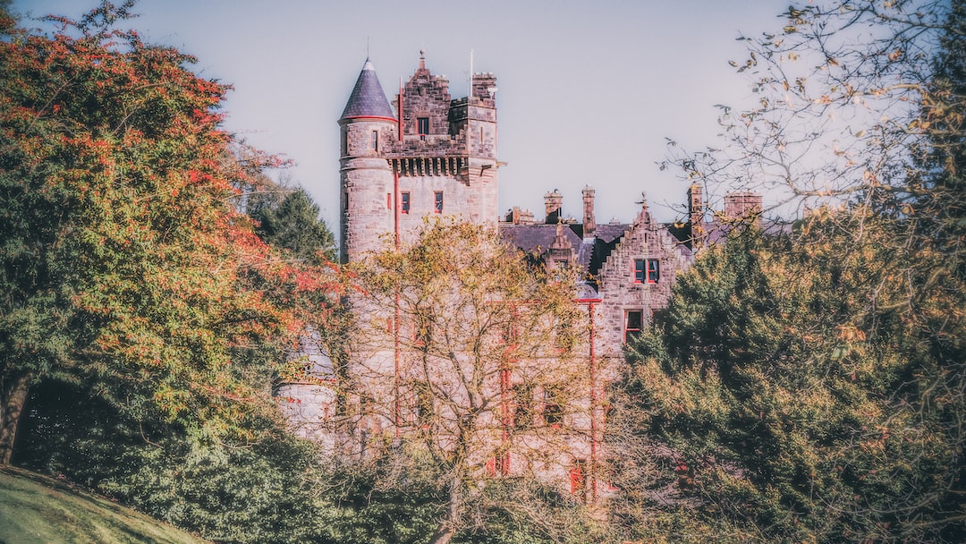 trees across gray stone castle photo