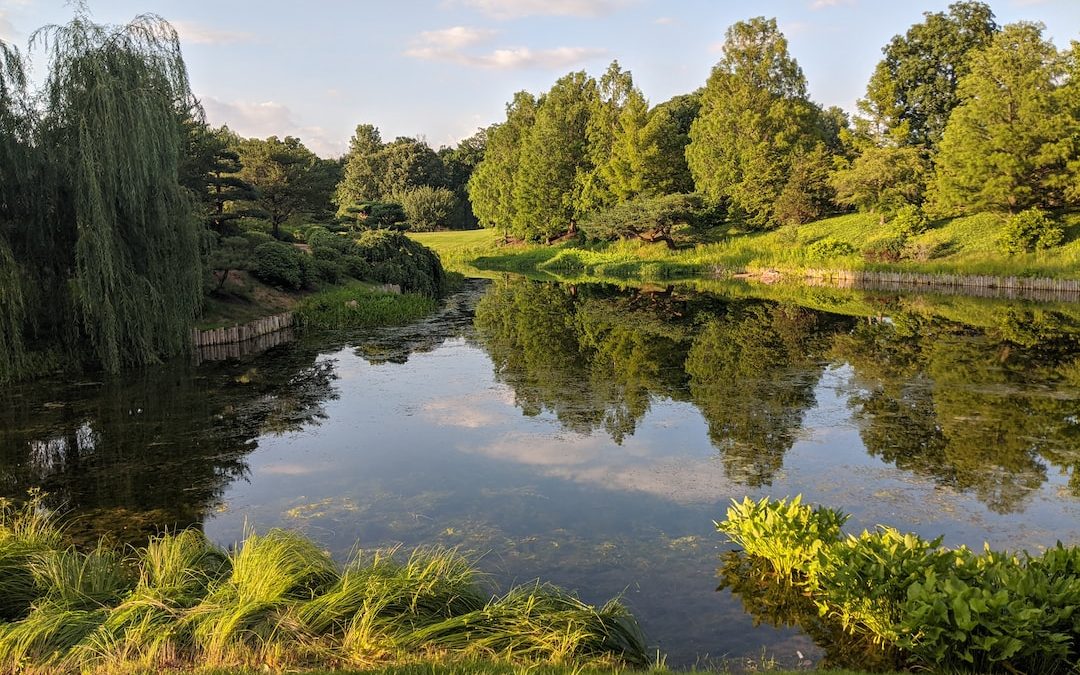 Things to Do for Couples in Baton Rouge: Enjoy the Botanic Gardens