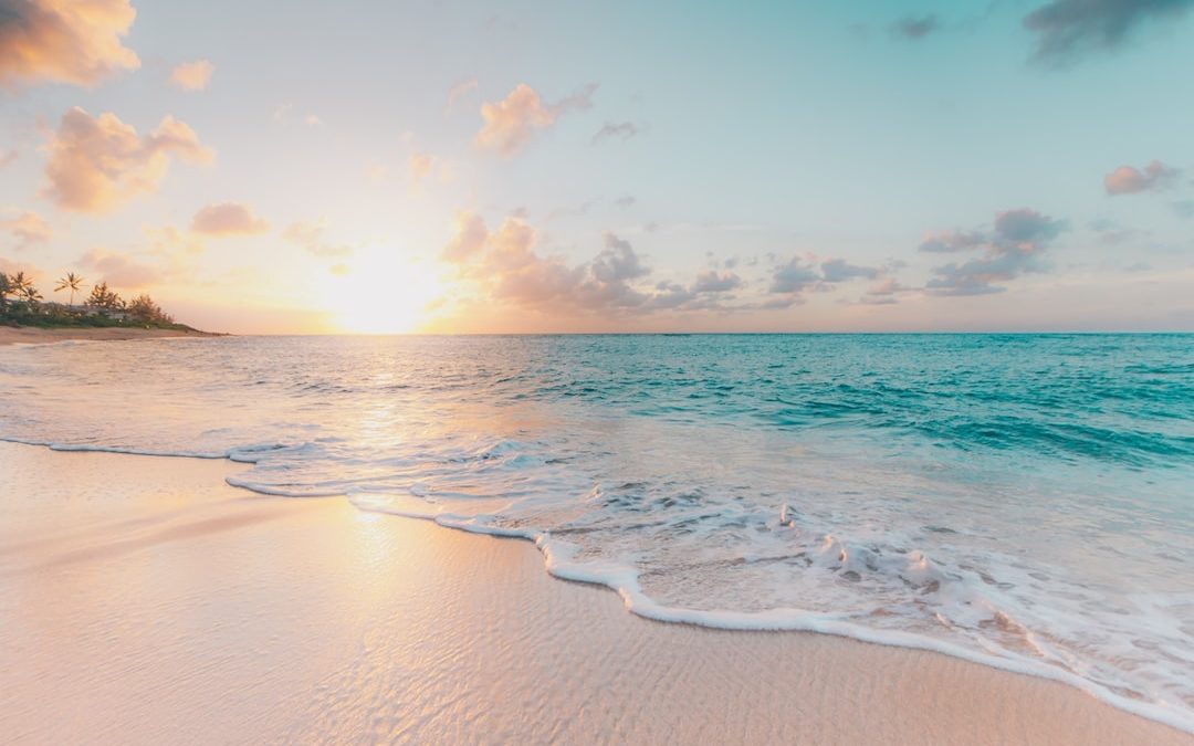 seashore during golden hour