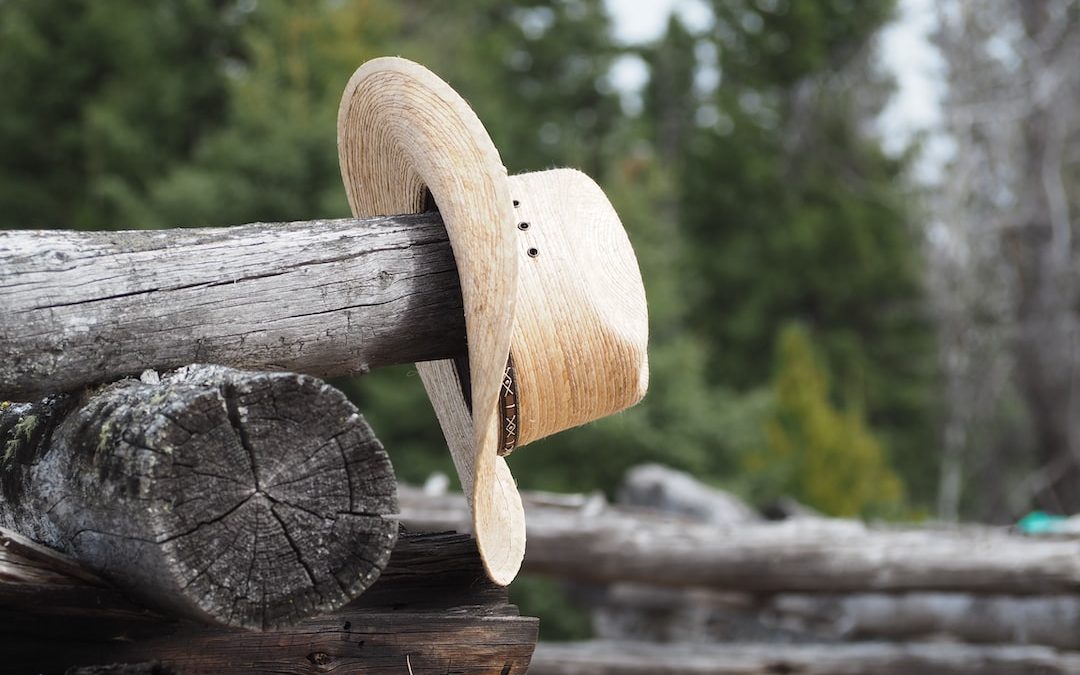 brown wooden log on brown wooden log