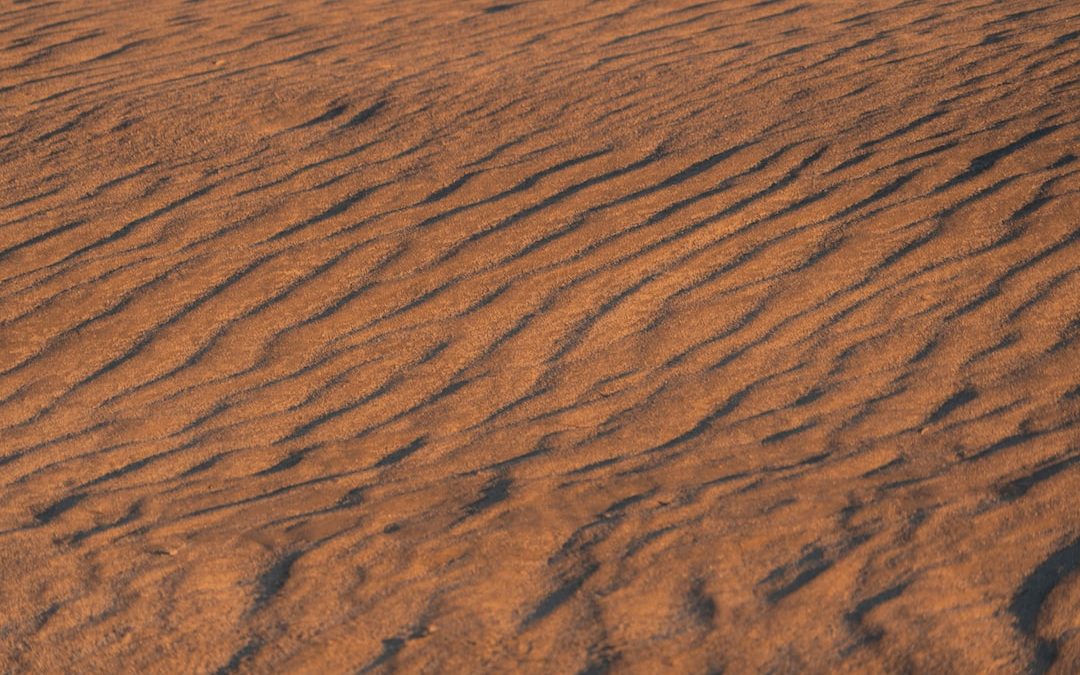 brown desert