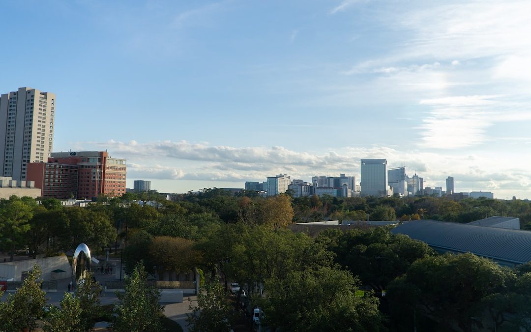 green trees near city buildings during daytime