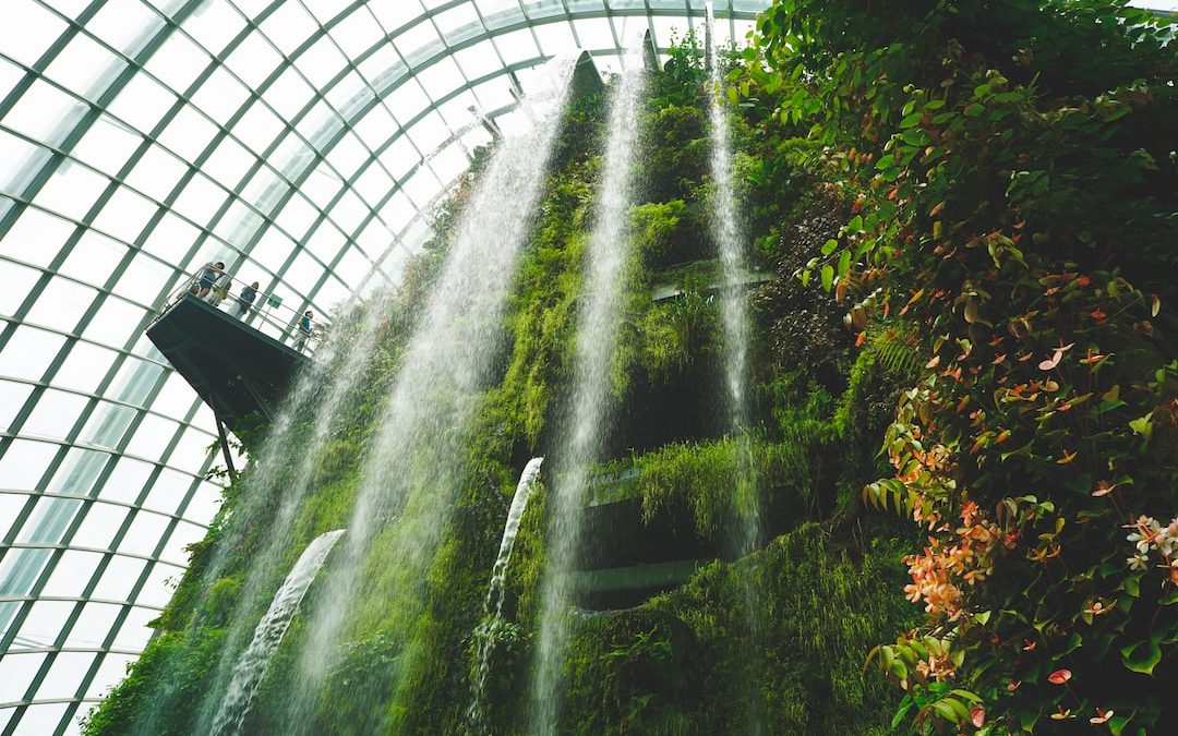 waterfalls near plants