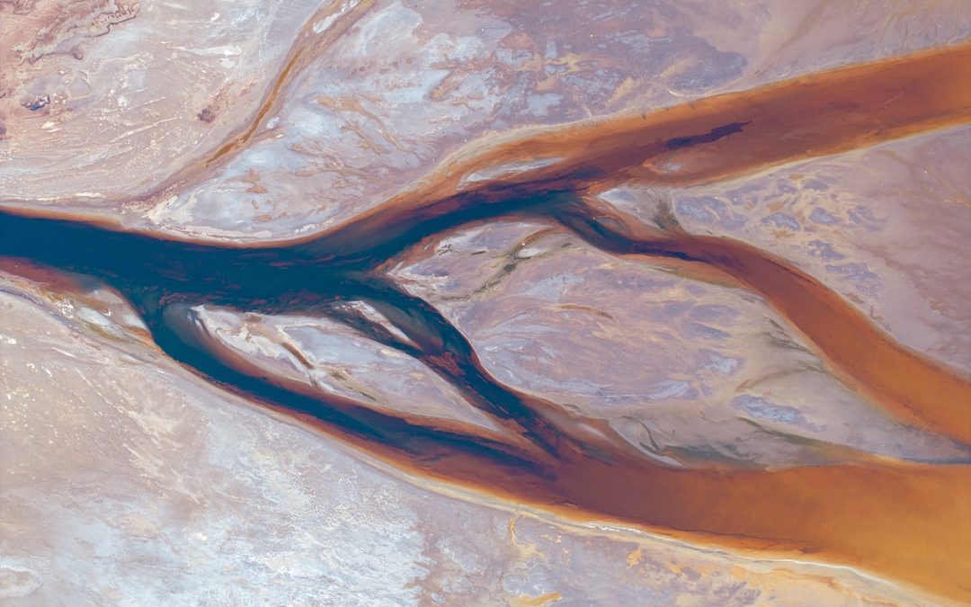 an aerial view of a river in the desert