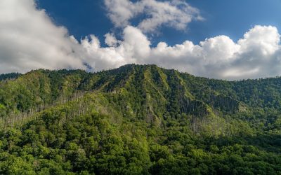 Experience the Best of Gatlinburg’s Attractions